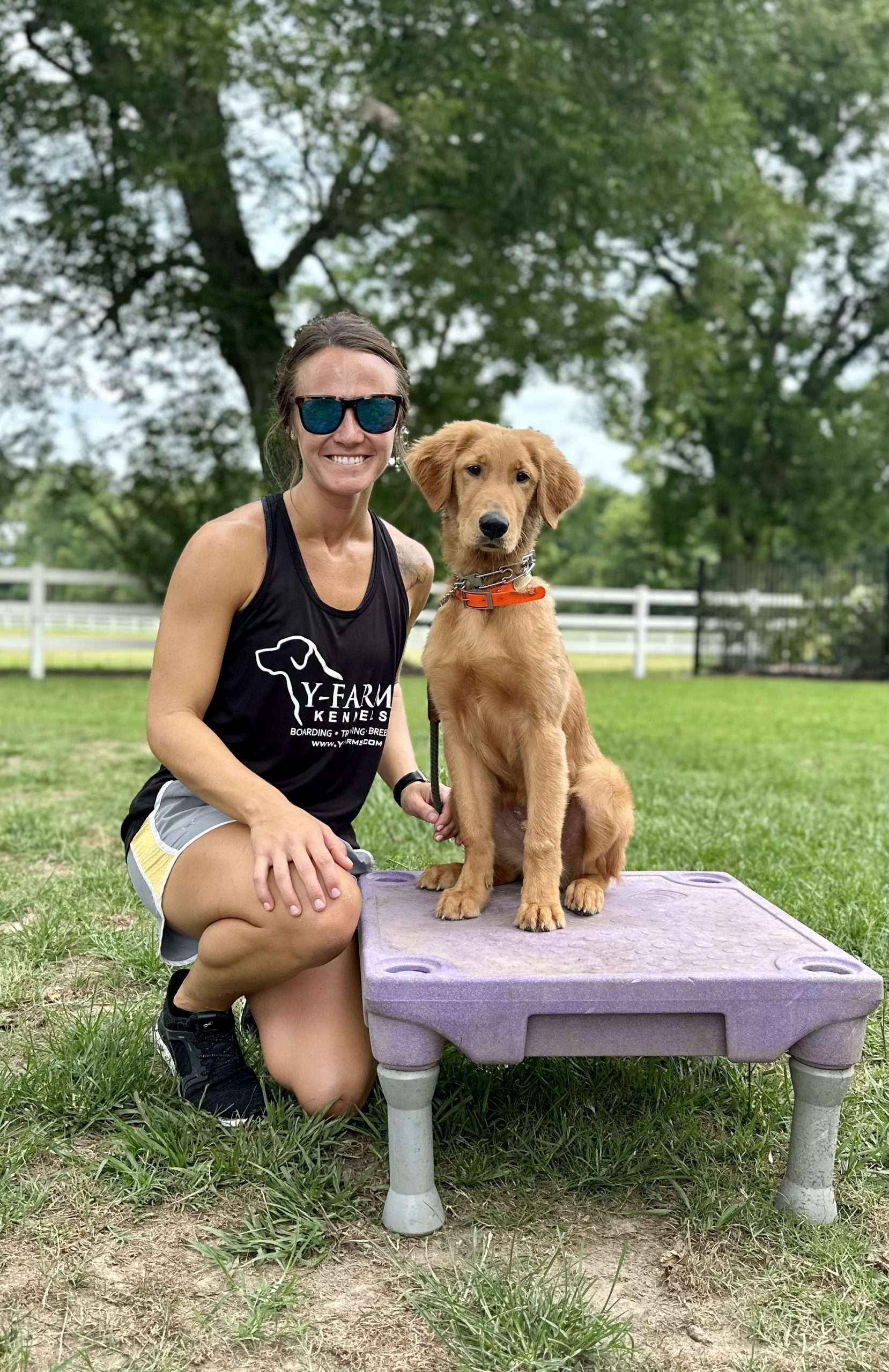 Personalized dog training